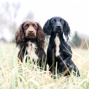 Reggie & Bea